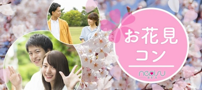 【京都 植物園】 春のお花見ウォーキングコン！お一人様でも安心して参加可能！